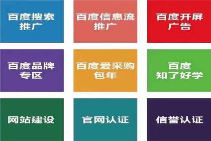 百度SEO推广公司案例分享：实战优化策略解析